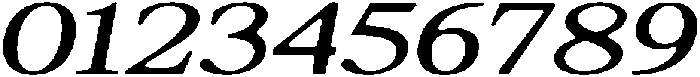 ShequanSoft LightExpIta otf (300) Font OTHER CHARS