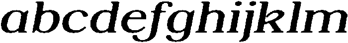 ShequanSoft LightExpIta otf (300) FONT