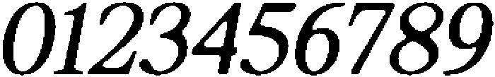 ShequanSoft LightSemCondIta otf (300) Font OTHER CHARS