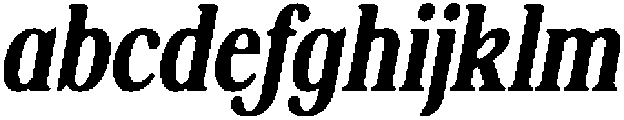 ShequanSoft MedCondIta otf (500) FONT