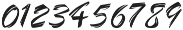 Shizuka Script Regular ttf (400) Font OTHER CHARS