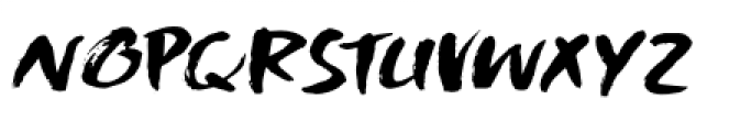 Shinano Italic Font UPPERCASE