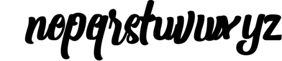 Shanthans Typeface Font LOWERCASE
