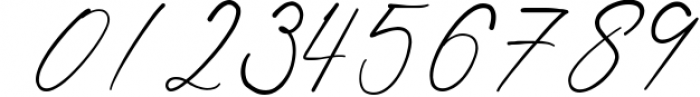 Shatoshi Signature - Modern Signature Font 1 Font OTHER CHARS