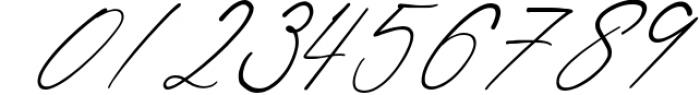 Shatoshi Signature - Modern Signature Font Font OTHER CHARS