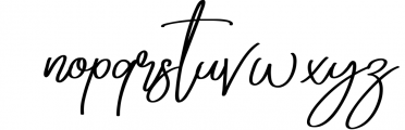 Shikatta - Signature Font Font LOWERCASE