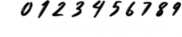 Shoterns Signature Brush Font 1 Font OTHER CHARS