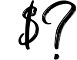 Shutten Reason - Duo Handwritting Brush Font Font OTHER CHARS