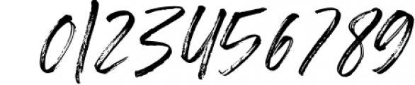 Shutterland Handbrush Script 1 Font OTHER CHARS