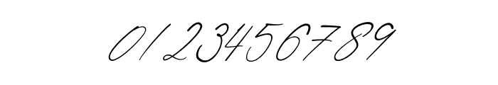 Shatoshi Signature Italic Font OTHER CHARS