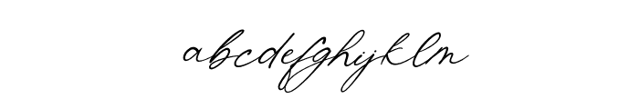 Shatoshi Signature Italic Font LOWERCASE