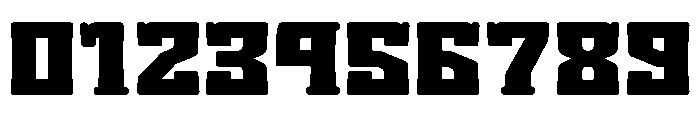 Shikaku Serif Font OTHER CHARS