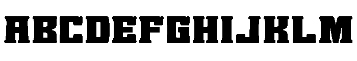 Shikaku Serif FONT