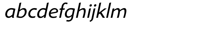 Shinn Book Italic Font LOWERCASE