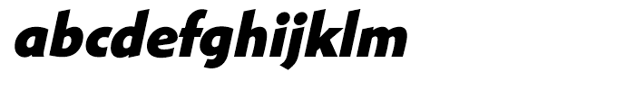 Shinn Extra Bold Italic Font LOWERCASE
