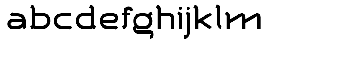 Shiraz Bold Font LOWERCASE