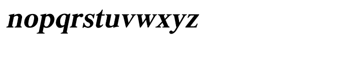 Shree Bangali 1512 Italic Font LOWERCASE