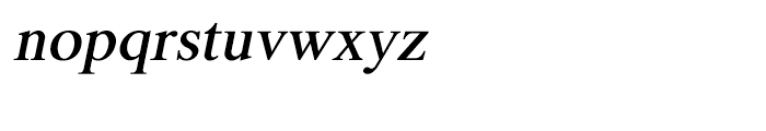 Shree Bangali 1532 Italic Font LOWERCASE