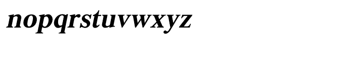 Shree Bangali 1577 Italic Font LOWERCASE