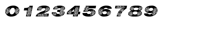 Shree Bangali 5102 Italic Font OTHER CHARS