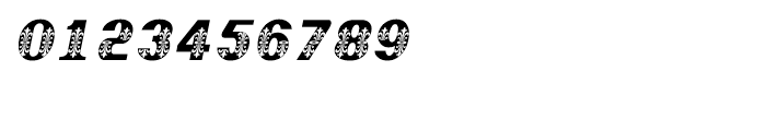 Shree Bangali 5103 Italic Font OTHER CHARS