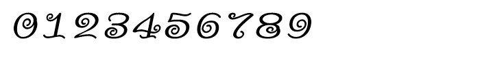 Shree Bangali 5115 Italic Font OTHER CHARS
