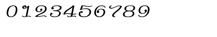 Shree Bangali 5120 Italic Font OTHER CHARS