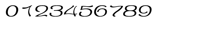 Shree Bangali 5121 Italic Font OTHER CHARS