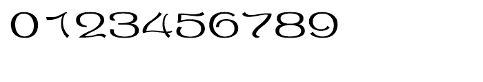 Shree Bangali 5121 Regular Font OTHER CHARS