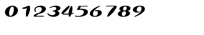 Shree Bangali 5124 Italic Font OTHER CHARS