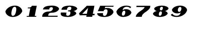 Shree Bangali 5125 Italic Font OTHER CHARS