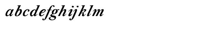 Shree Devanagari 0738 Bold Italic Font LOWERCASE