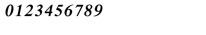 Shree Devanagari 1003 Bold Italic Font OTHER CHARS