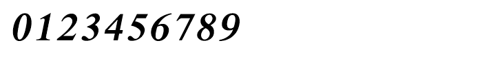 Shree Devanagari 1009 Italic Font OTHER CHARS