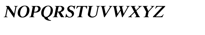 Shree Devanagari 1009 Italic Font UPPERCASE
