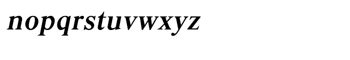 Shree Devanagari 1009 Italic Font LOWERCASE