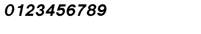 Shree Devanagari 1033 Bold Italic Font OTHER CHARS
