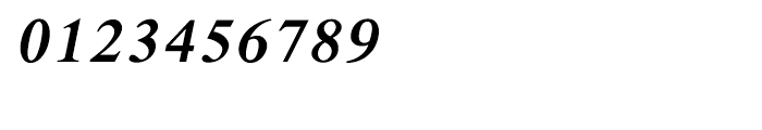 Shree Devanagari 1045 Italic Font OTHER CHARS