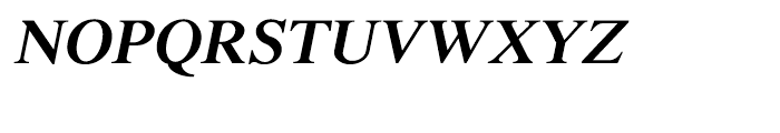 Shree Devanagari 1045 Italic Font UPPERCASE