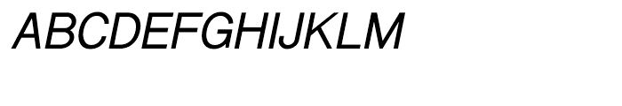 Shree Devanagari 1084 Bold Italic Font UPPERCASE