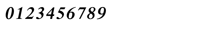 Shree Devanagari 1205 Italic Font OTHER CHARS