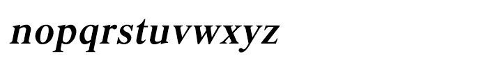 Shree Devanagari 1205 Italic Font LOWERCASE