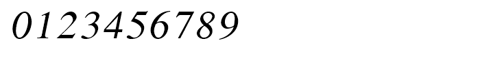 Shree Devanagari 1281 Italic Font OTHER CHARS