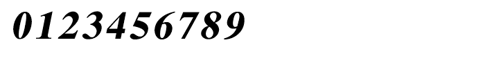 Shree Devanagari 1289 Italic Font OTHER CHARS