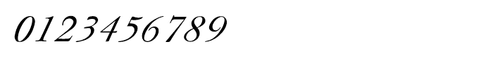 Shree Devanagari 2302 Italic Font OTHER CHARS
