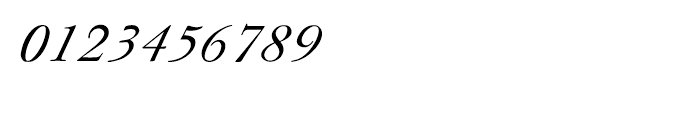 Shree Devanagari 2303 Italic Font OTHER CHARS