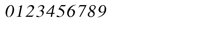 Shree Devanagari 2313 Italic Font OTHER CHARS
