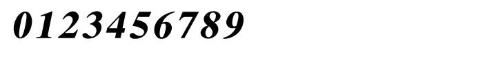 Shree Devanagari 3669 Italic Font OTHER CHARS