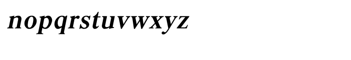 Shree Kannada 0893 Bold Italic Font LOWERCASE