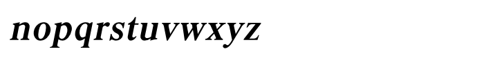 Shree Kannada 1424 Italic Font LOWERCASE